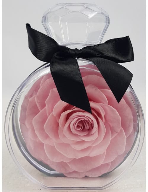Trandafir criogenat roz mare de 12 cm in cutie transparenta tip bijuterie