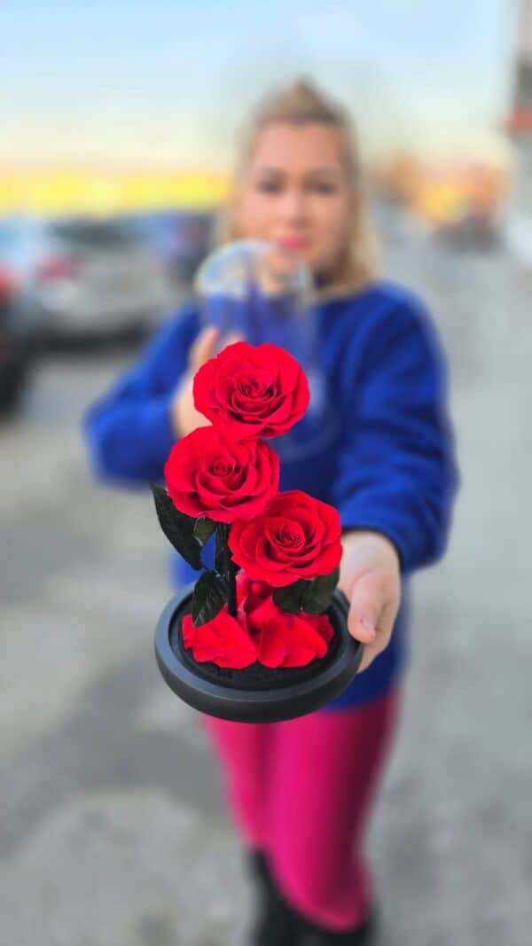 Trandafiri roșii criogenați în cupolă din sticlă cu bază elegantă