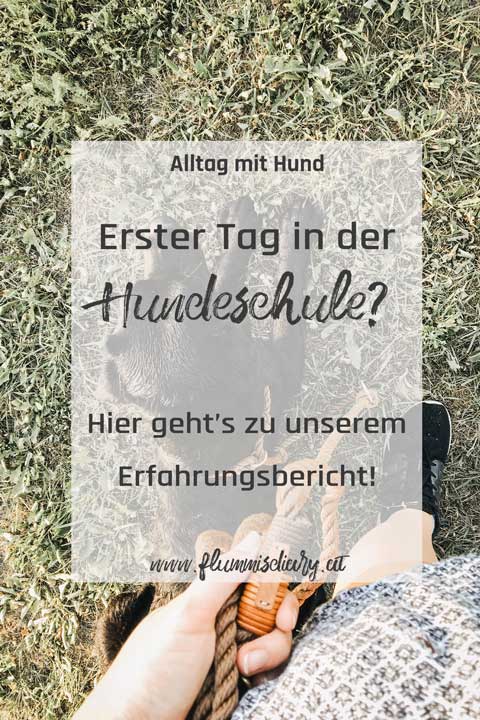 erster-tag-hundeschule-pinterest-flummisdiary