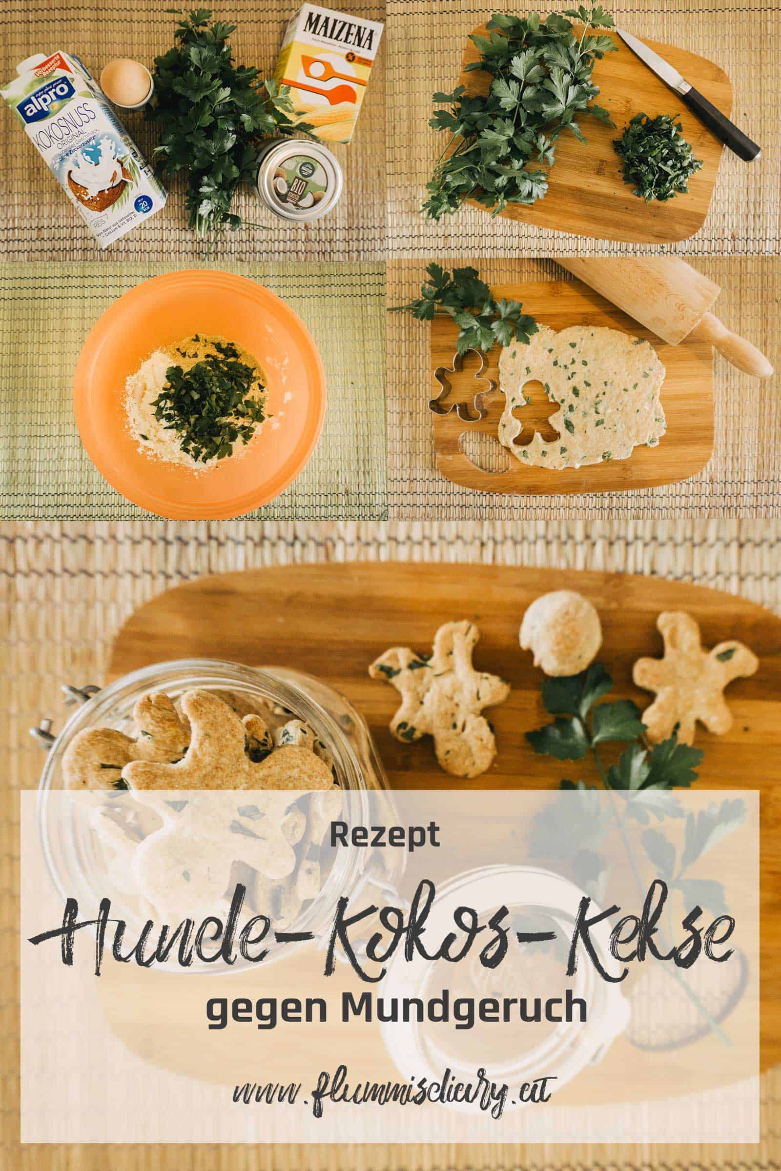mundgeruch-beim-hund-anleitung-hunde-kokos-kekse