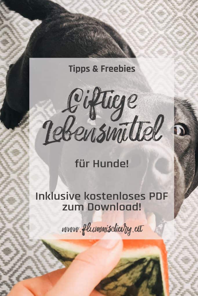 pinterest-giftige-lebensmittel-f&uuml;r-hunde