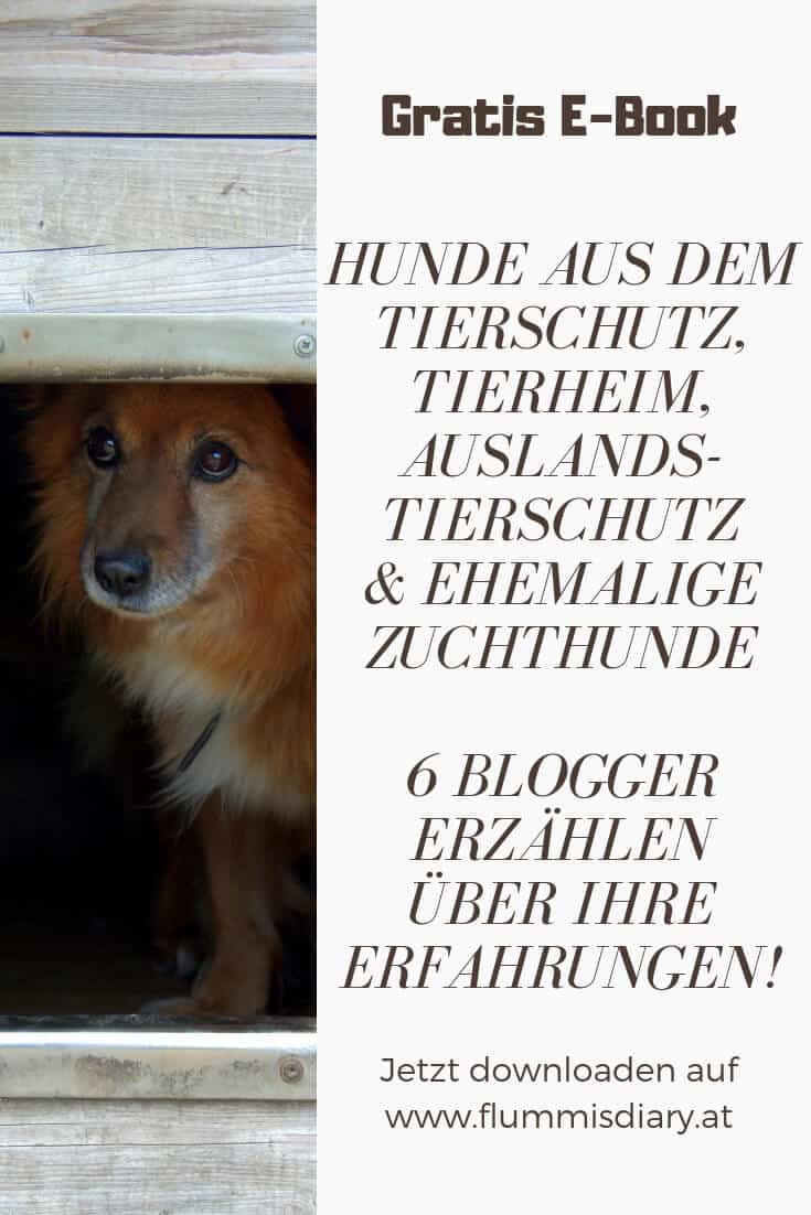 hunde-mit-vergangenheit-kostenlos-ebook