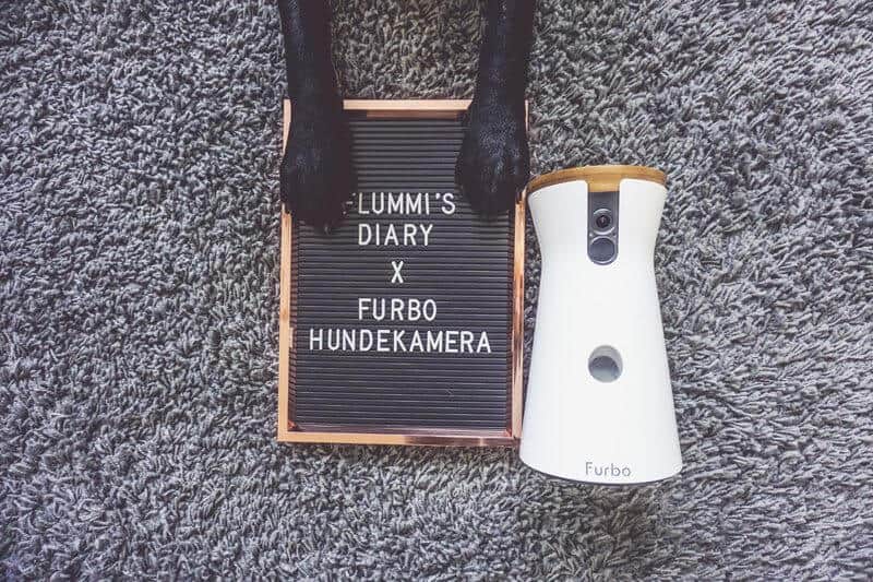 furbo-hundekamera-produkttest