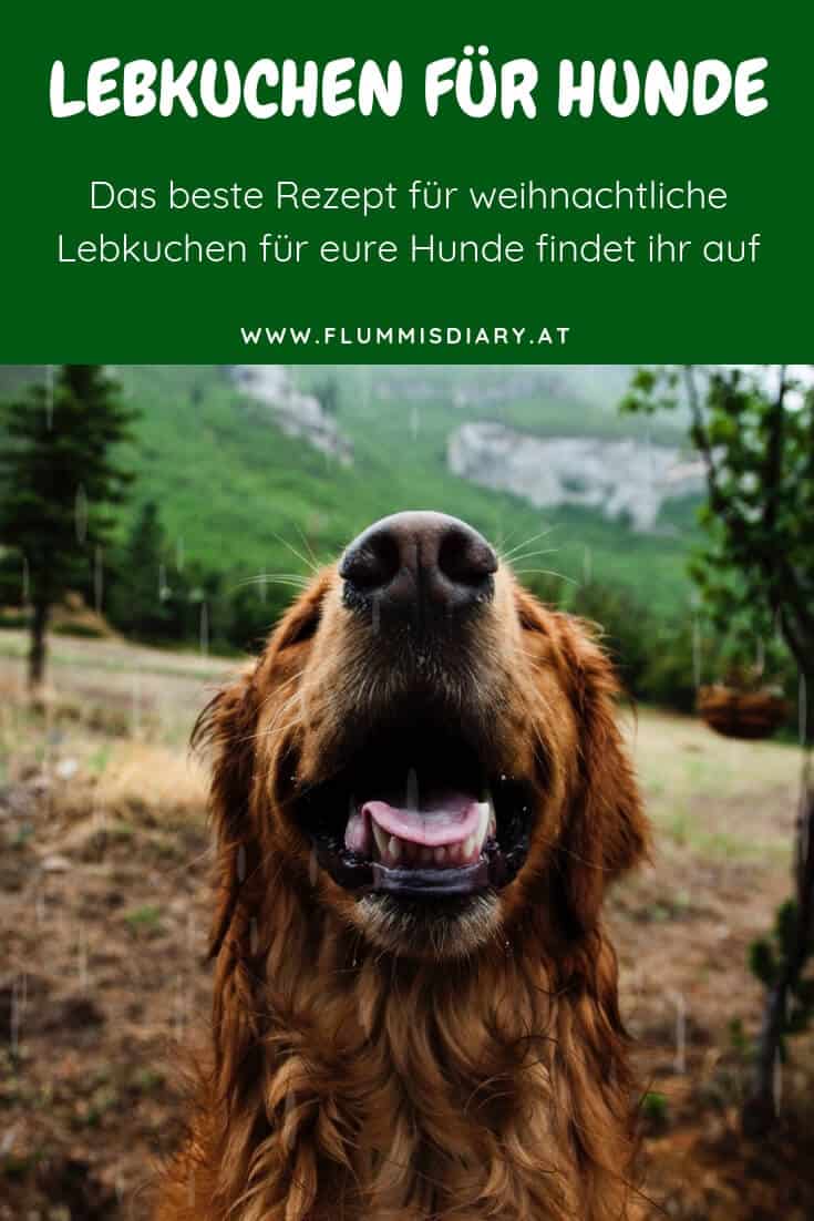 hund-lebkuchen-weihnachten