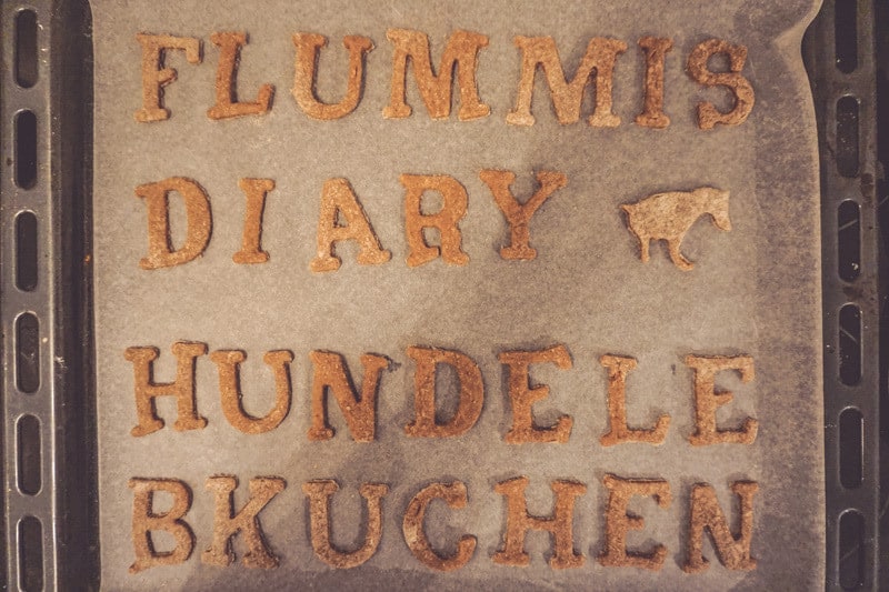 hundekekse-lebkuchen-weihnachten-rezept-3