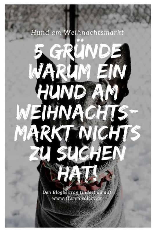 weihnachtsmarkt-mit-hund-flummis-diary