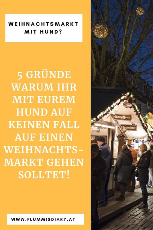 weihnachtsmarkt-mit-hund-tipps