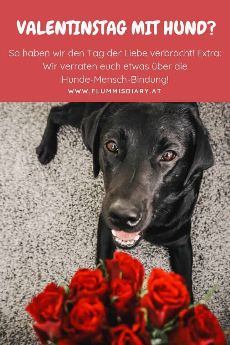 valentinstag-mit-hund