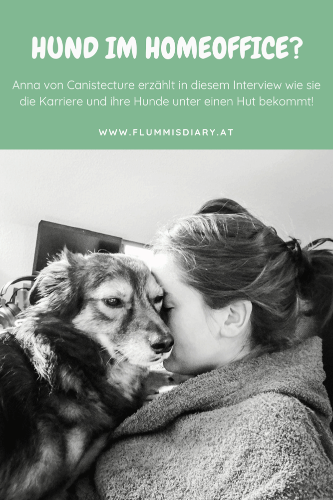 home-office-hund-tipps-dog-karriere