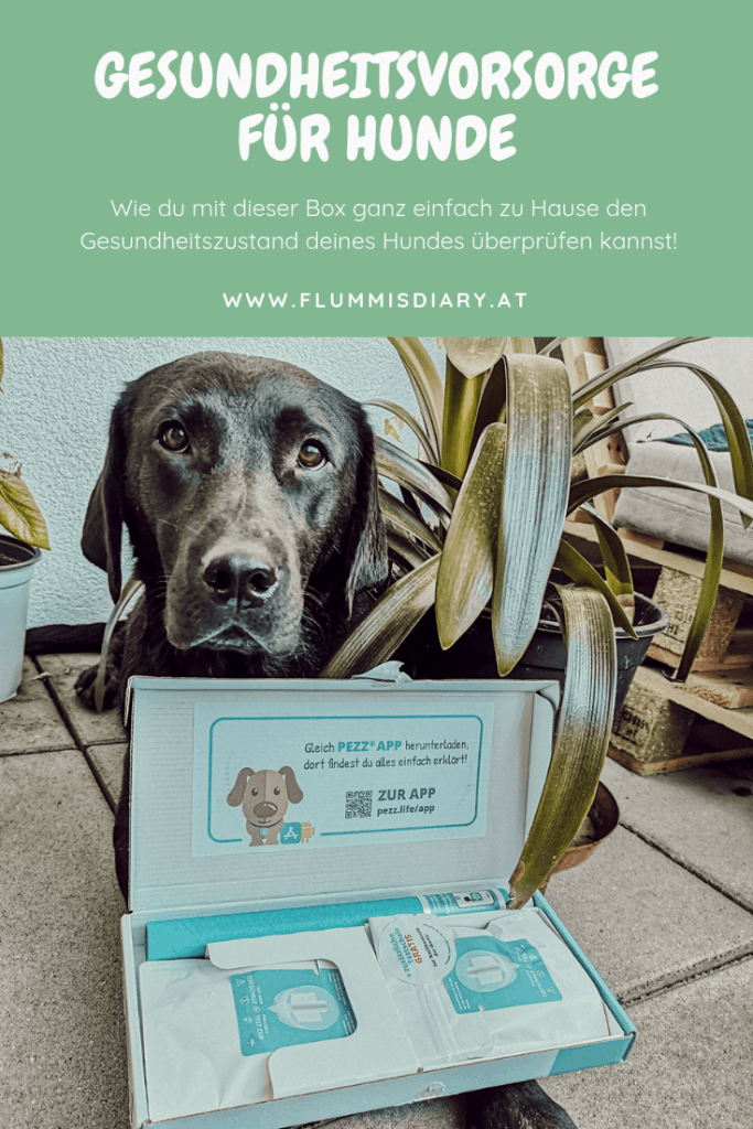 gesundheit-hund-test-urintest-pezz-check