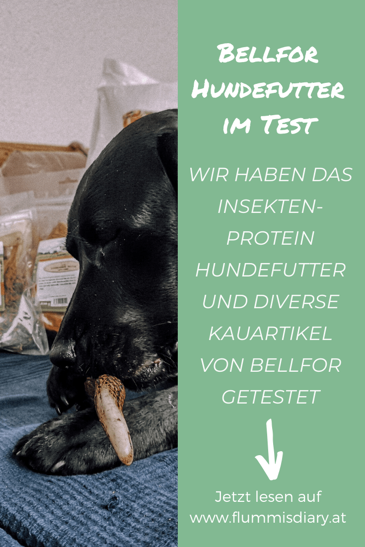 hundefutter-bellfor-im-test-flummisdiary