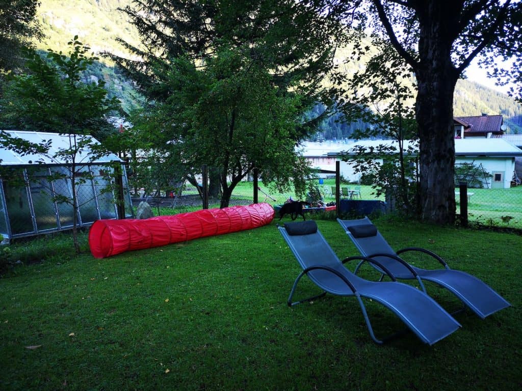 urlaub-wandern-salzburg-hund