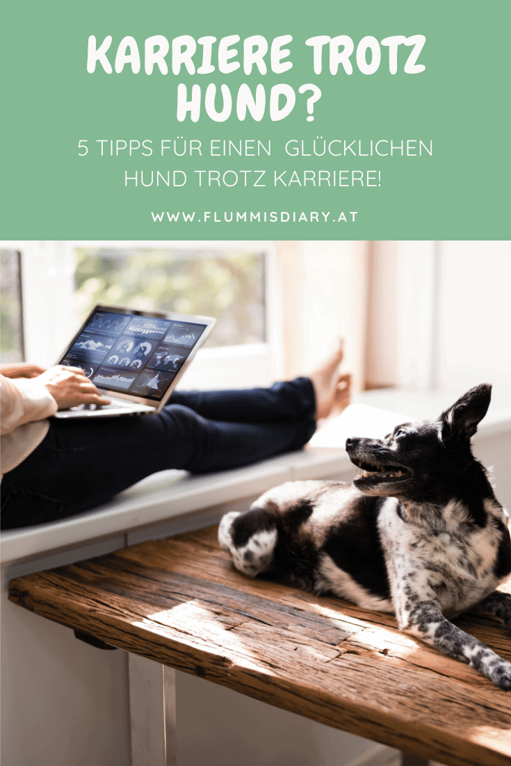 karrierefrau-mit-hund-ausbildung-auslastung-karriere-berufstaetig