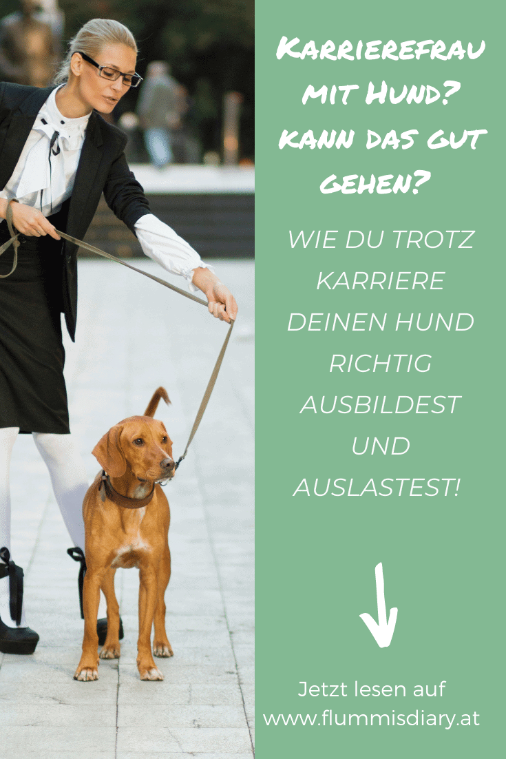 karrierefrau-mit-hund-ausbildung-auslastung-karriere-job-berufstaetig