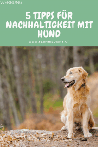 5-tipps-fuer-nachhaltigkeit-mit-hund-pinterest-pin