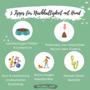nachhaltigkeit_mit_hund_grafik