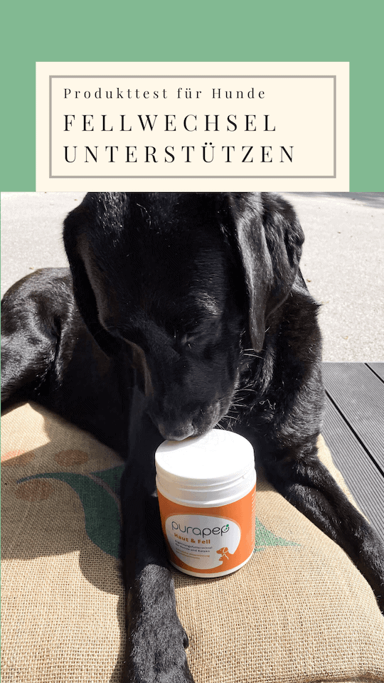 purapep-fellwechsel-hund-test-rabattcodeaktion