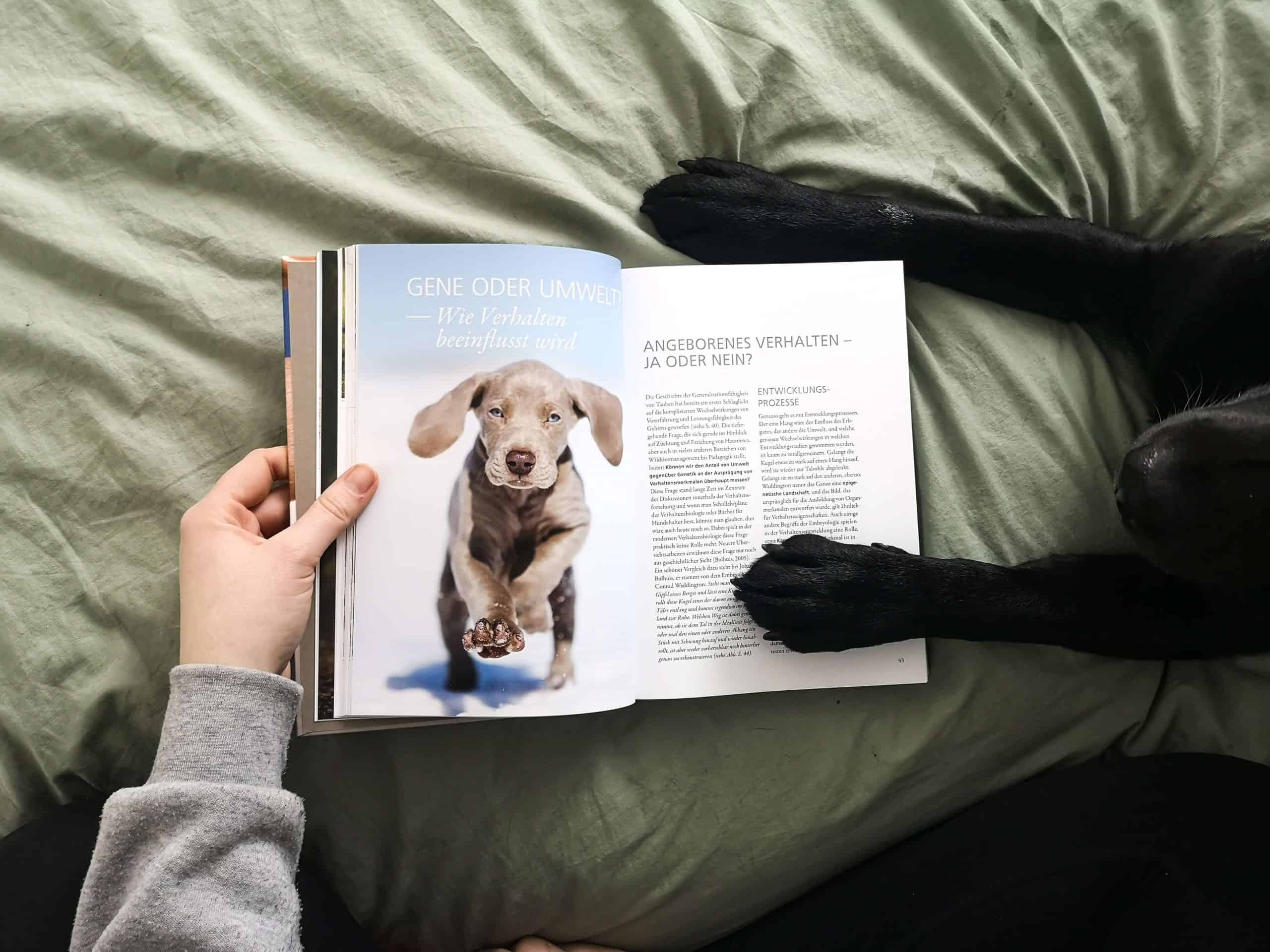 verhaltensbiologie-fuer-hundetrainer-buch-review