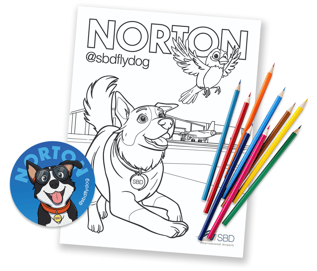 Graphic of Norton @sbdflydog coloring page with colored pencils
