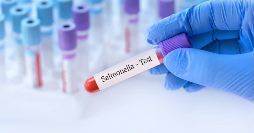 Salmonella Outbreak in Norway