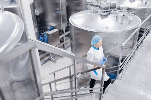 Clean food manufacturing facility ensuring safety and hygiene standards.