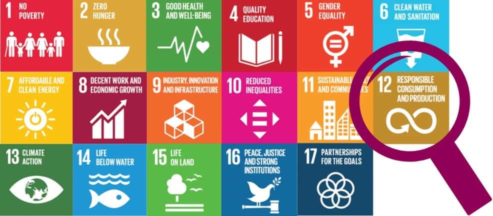 Ensuring food safety and responsible consumption for global health and sustainability.