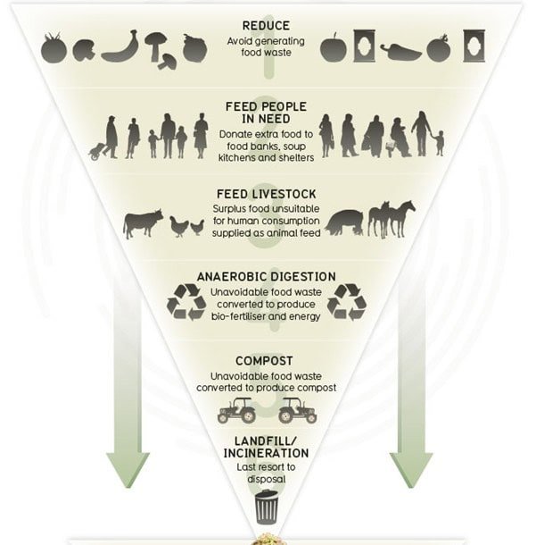 Avoid food waste and promote sustainable practices in food safety management.