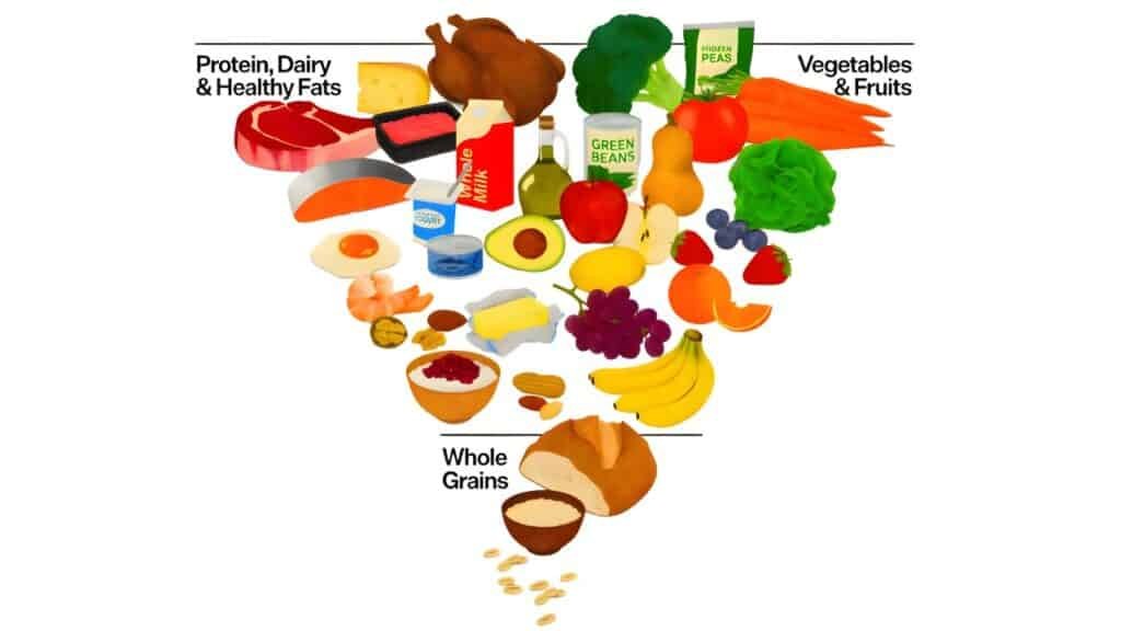 US Updates Dietary Guidelines: Protein & Whole Foods Prioritized