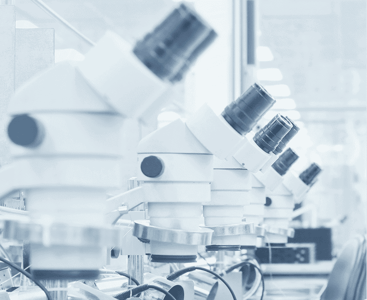 lab