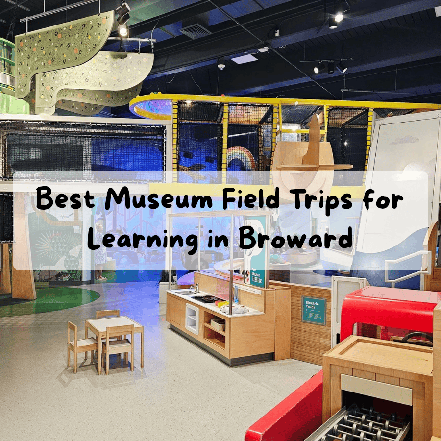 BROWARD MUSEUMS