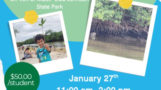 Coastal Engagement Field Trip – Marvelous Mangroves