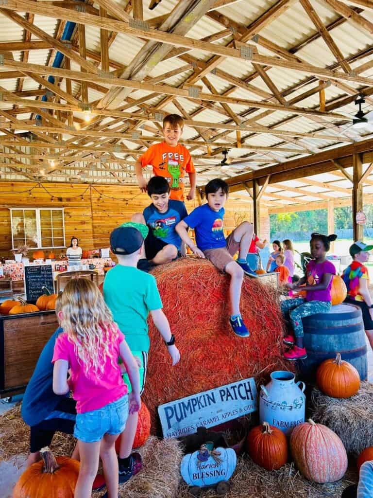 Fall Fest- Farm Field Trip at Funville Farm