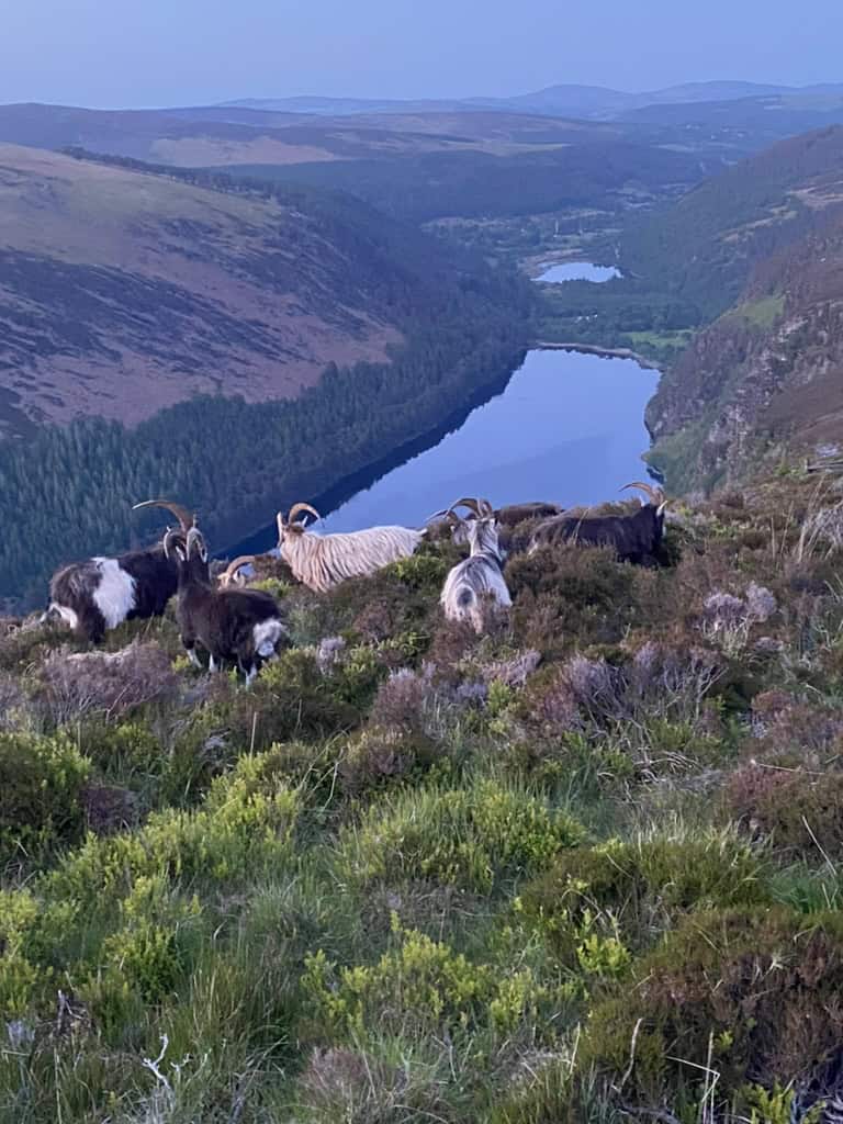 Private tours Ireland Wicklow Mountains and Glendalough