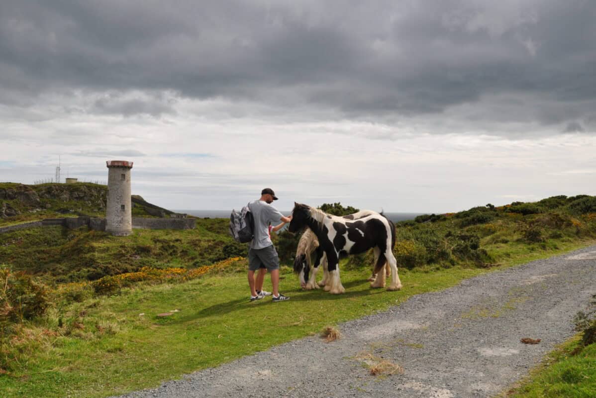 Wicklow day tour. Wicklow Head Lighthouse