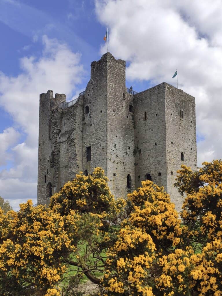 Ireland Ancient East private tour from Dublin Trim Castle private tour