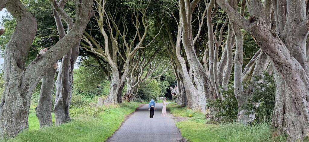 Dark Hedges private tour from Dublin