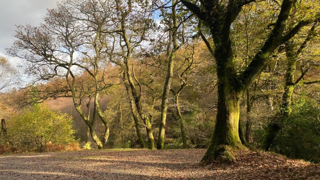 Bray Head Hike