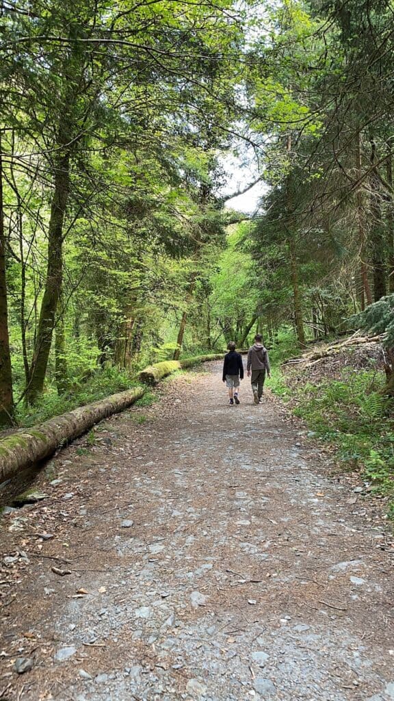 Devils Glen trails