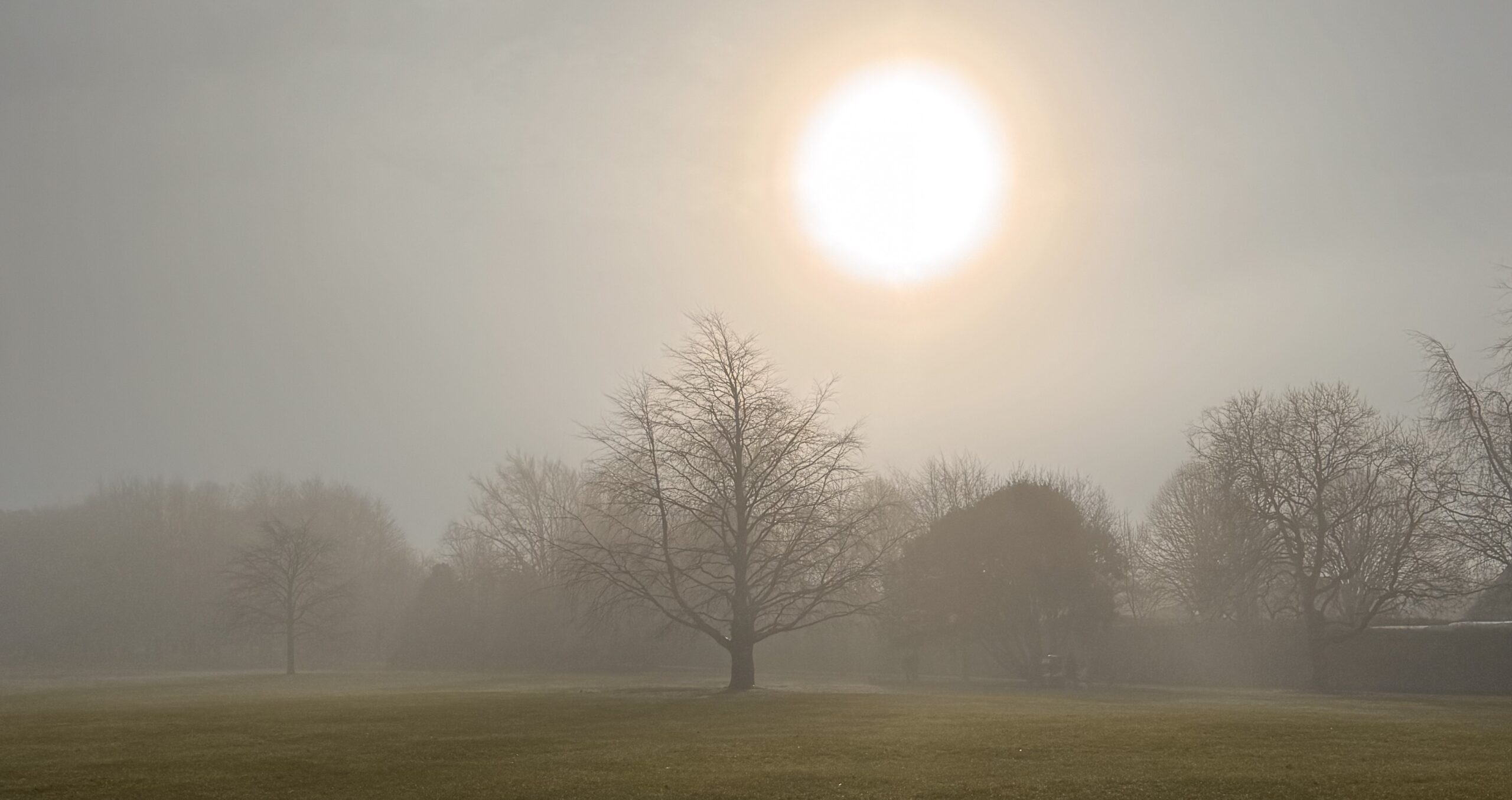 St. Brigid’s Day in Ireland: Welcoming the First Day of Spring