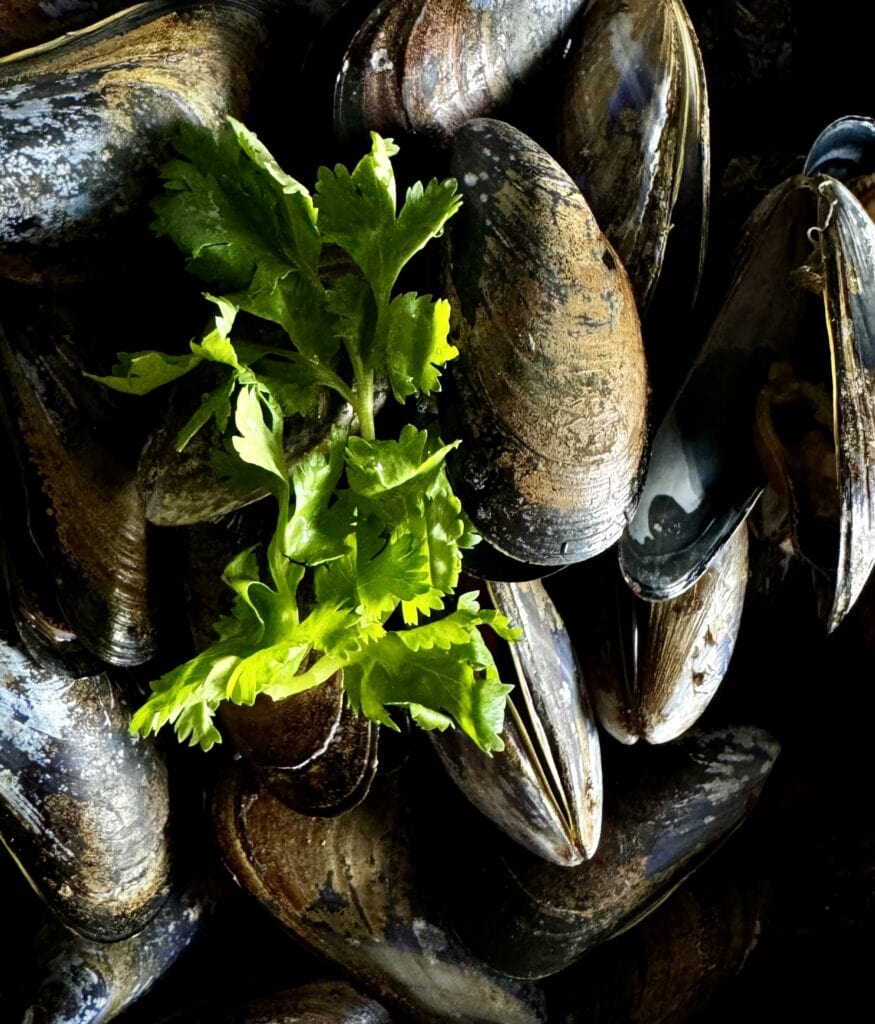 Irish food & cuisine: A black pot of fresh Irish mussels