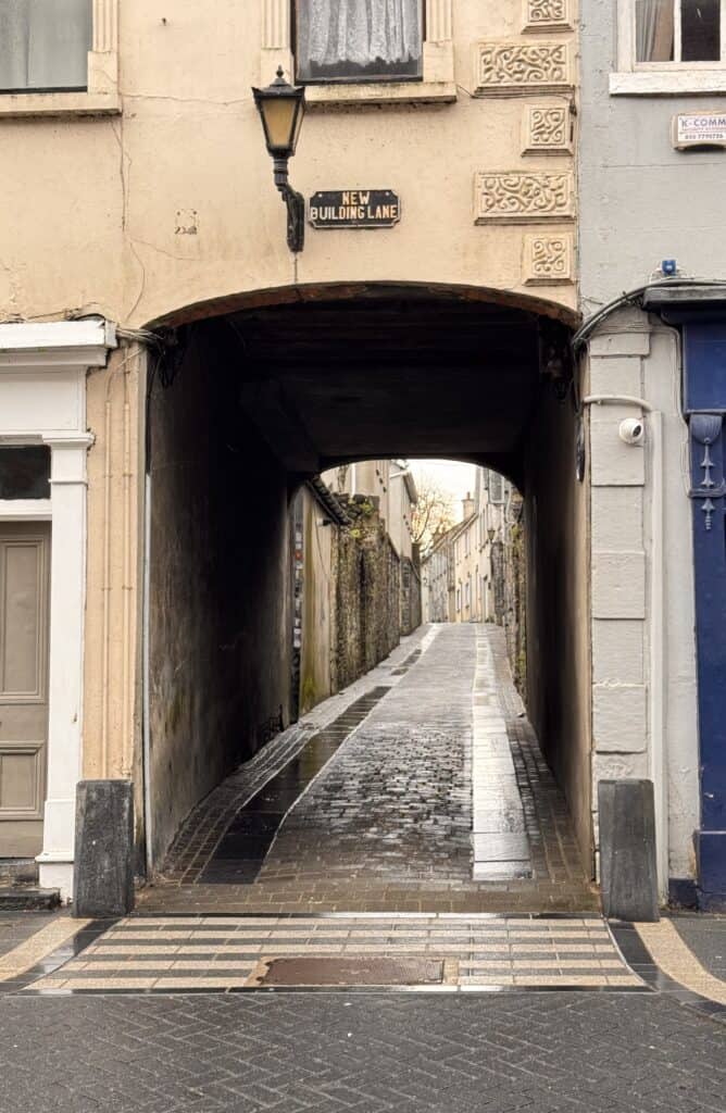 Narrow, cobblestone lane under archway.