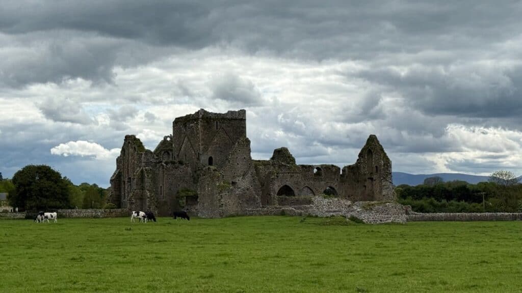 Hore Abbey on private Rock of Cahel day tour