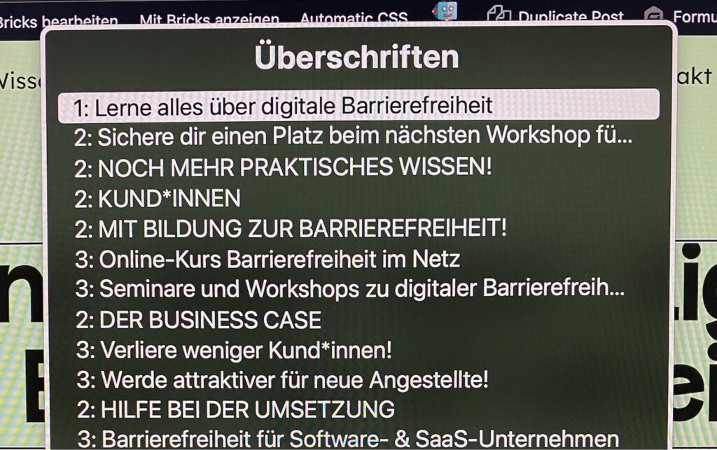 Ansicht der Überschriften-Ausgabe des Rotors der gehirngerecht digital Seite