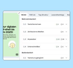Screenshot des PDF-Tests des Accessibility Centers. Man sieht Prüfungen nach der WCAG und PDF UA