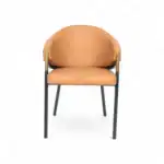 Elegant modern lounge chair with leather upholstery and metal accents, perfect for stylish living spaces.
