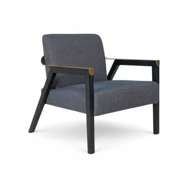 Elegant modern armchair with dark wooden frame and upholstered cushion for stylish living spaces.