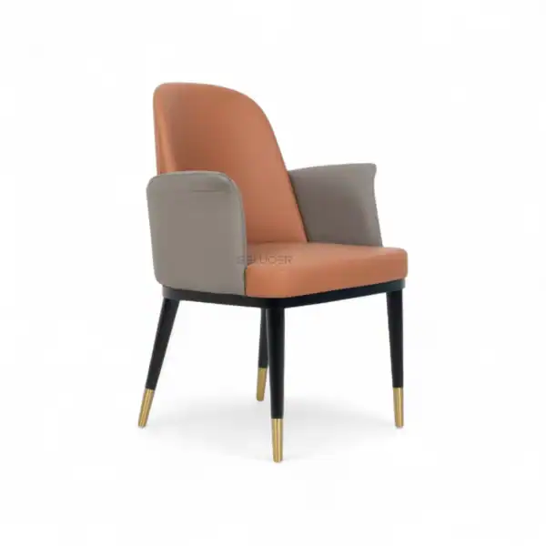 Contemporary armchair with leather upholstery, wooden legs, and gold accents, ideal for modern living spaces.