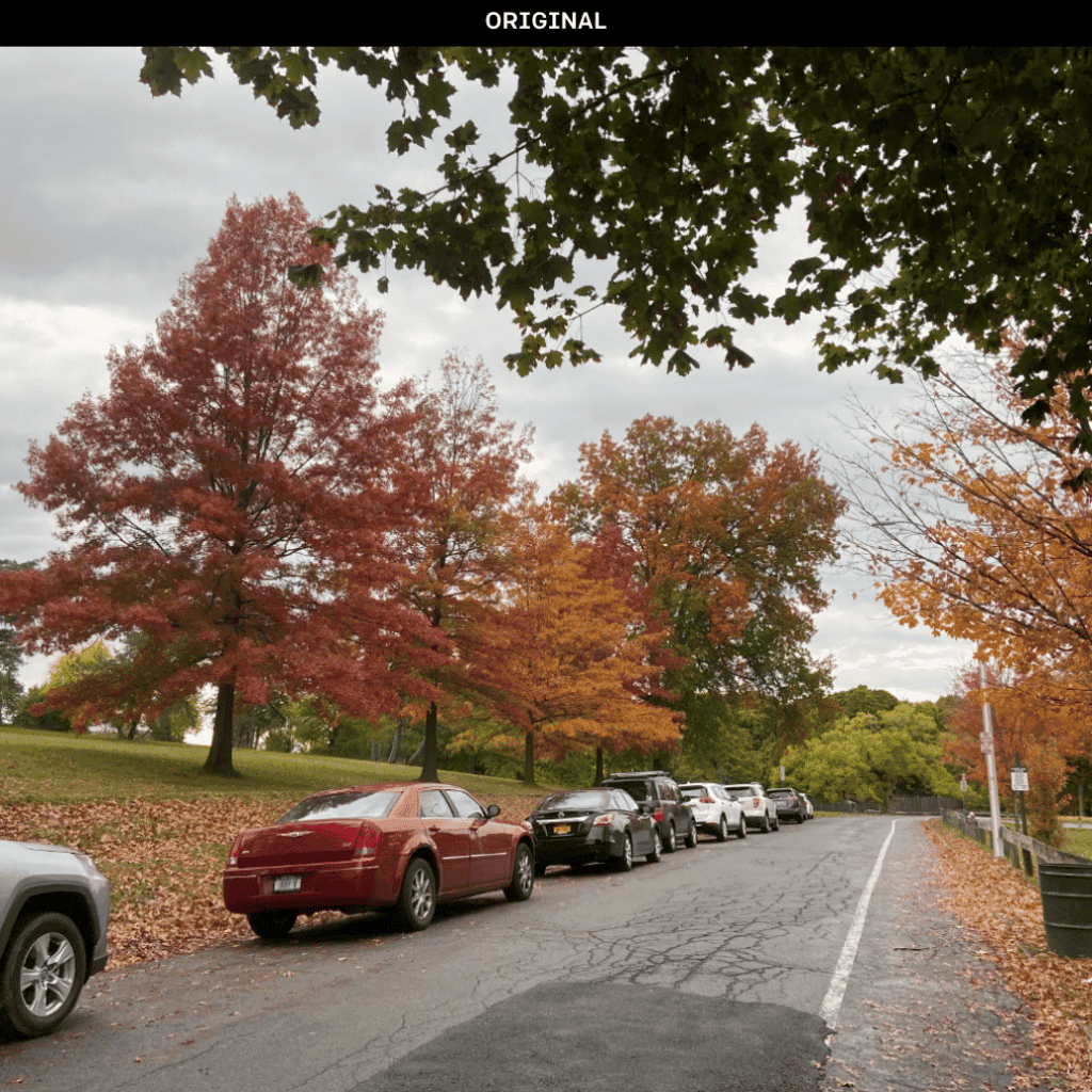 original autumn image put into dalle-2