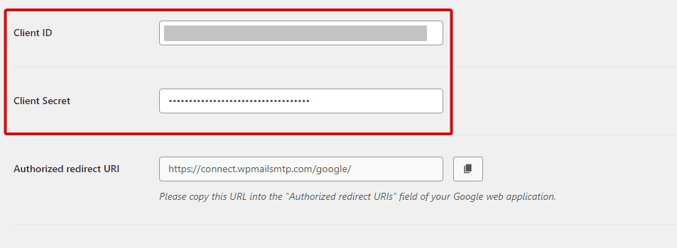 paste Google client ID and secret codes