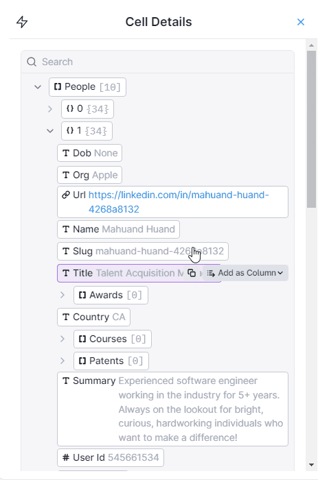 how to add data as column in Clay